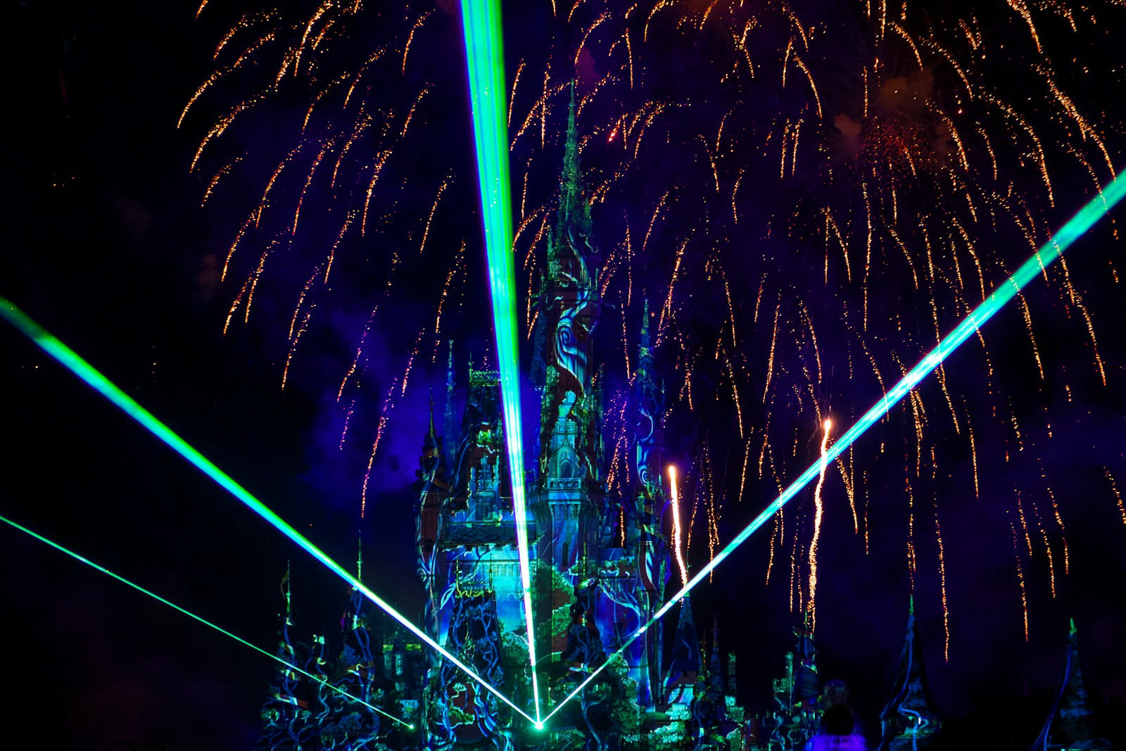A Week at Walt Disney World